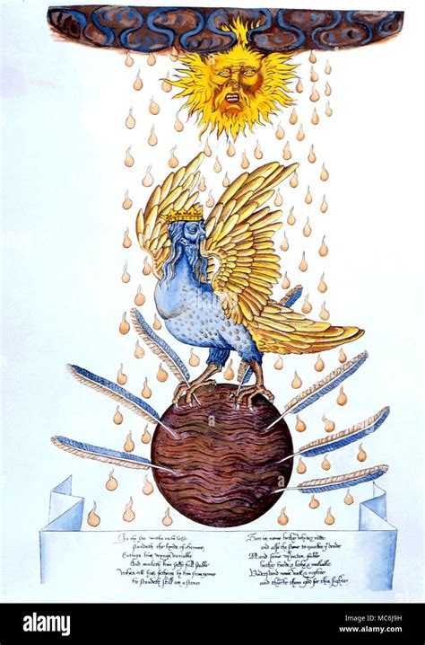 bird of hermes